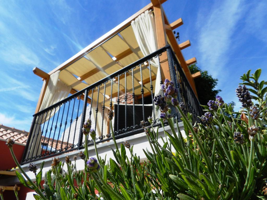 Villa House Of Milka à Zadar Extérieur photo